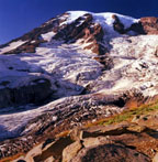 Mt. Rainier