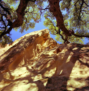 Rock City Sandstone