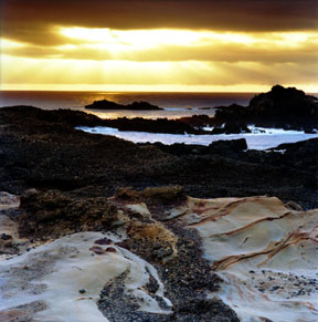 Point Lobos Sunset