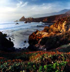 Central California