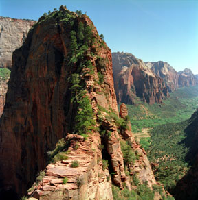 Trail to Angel's Landing