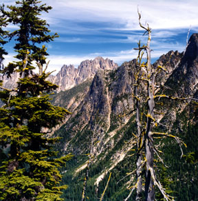 Kangaroo Ridge