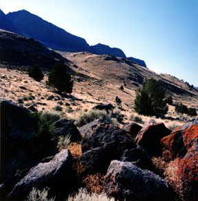 Abert Rim