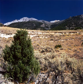 Borah Peak Earthquake Scarp
