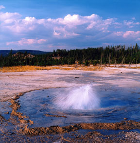 Pearl Geyser