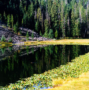 Lost Lake