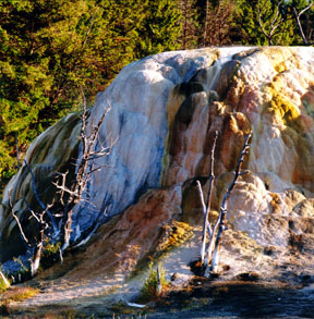 Orange Spring Mound