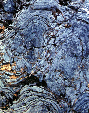 Stromatolite Close-Up