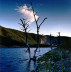 Earthquake Lake