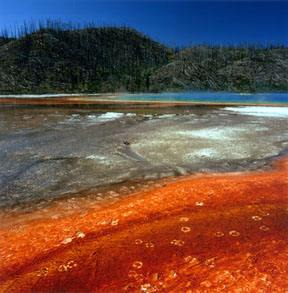 Grand Prismatic Spring