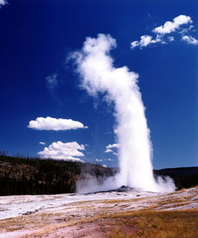 Old Faithful