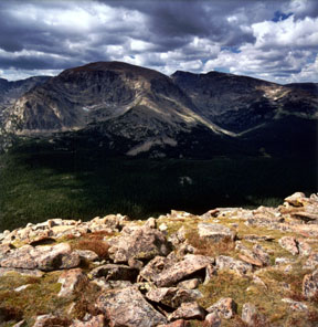 Forest Canyon Overlook