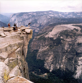 The Diving Board