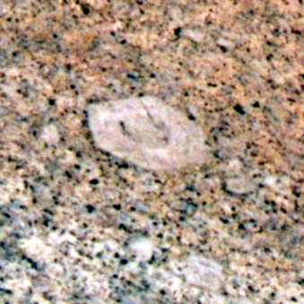 Close-Up of Zoned Feldspar on Glacial Polish
