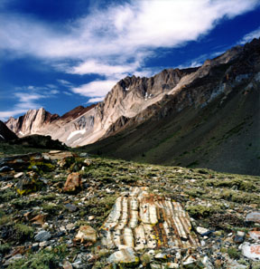 Mount Aggie Formation