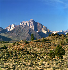 Mount Morrison from Hot Springs Creek
