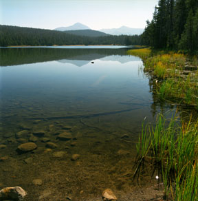 Dog Lake