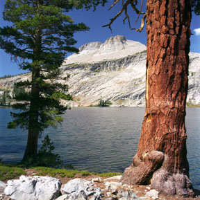 Mount Hoffmann from May Lake