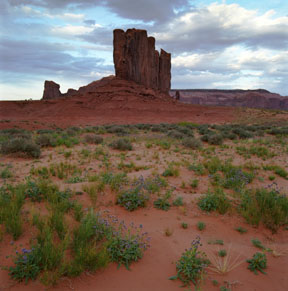 Camel Butte