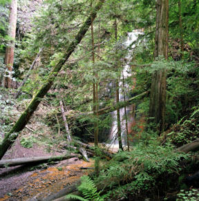 Silver Falls