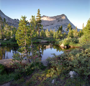 Vogelsang Peak