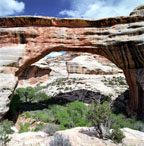 Sipapo Bridge