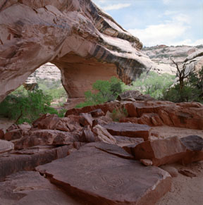 Kachina Bridge and Petroglyphs