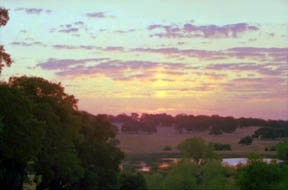 Solar Pillar - Sierra Foothills