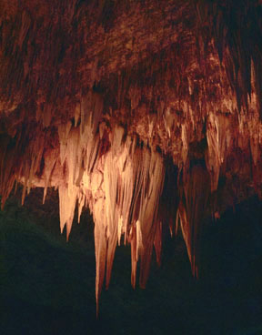 Stalactites, Carlsbad Caverns
