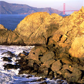 The Golden Gate from Point Lobos