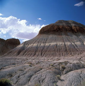 The Tepees