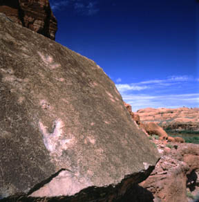 Dinosaur Footprint