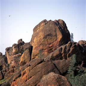 High Peaks and Hawks