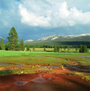 Soda Springs, Tuolumne Meadows