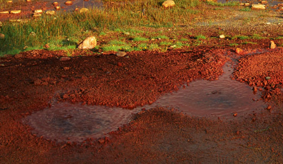 Close-up of Soda Springs