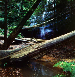 Silver Falls