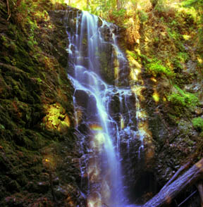 Berry Creek Falls and Rainbow