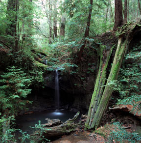 Sempervirens Falls