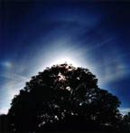 Haloes and Hailstorms