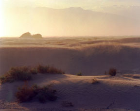 Mesquite Flat Sand Dunes Sandstorm