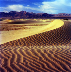 Mesquite Flat Sand Dunes No. 3