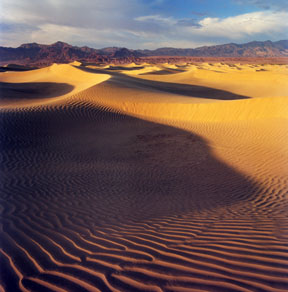 Mesquite Flat Sand Dunes No. 4