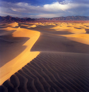 Mesquite Flat Sand Dunes No. 5