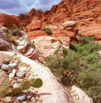 Calico Hills