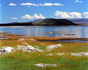 Negit Island
