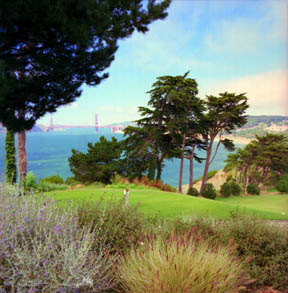 The 17th Hole of Lincoln Park