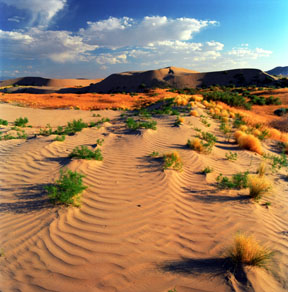 Little Sahara Dunes