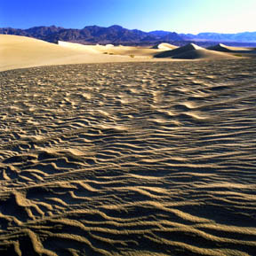 Mesquite Flat Sand Dunes No.1