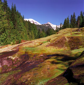 Glaciated Basalt Field