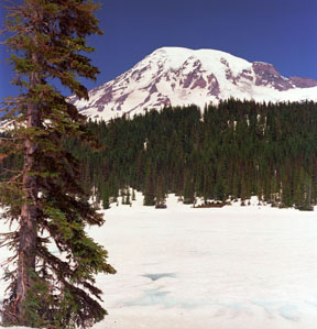 Mount Rainier from Reflection Lake